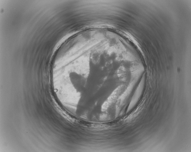 X0000061750795200512302236