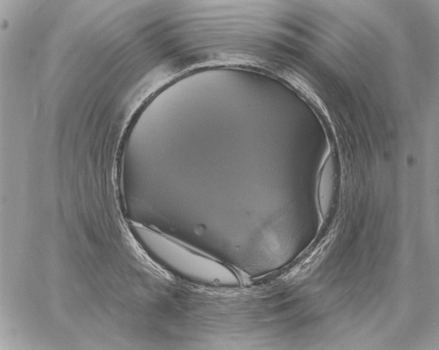 X0000061750797200512302236