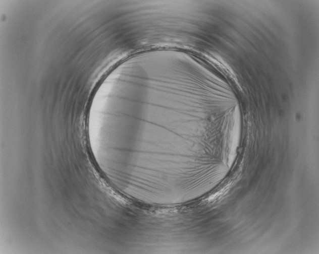 X0000061750798200512302236