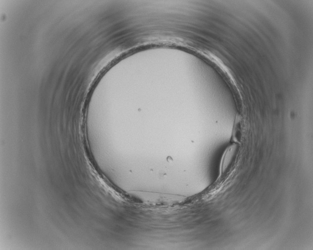 X0000061750799200512302236