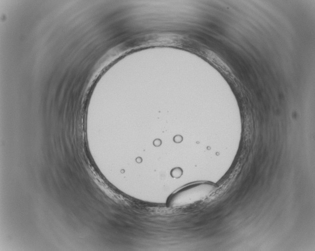 X0000061750800200512302236