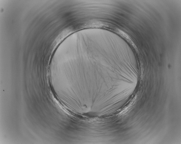 X0000061750802200512302236