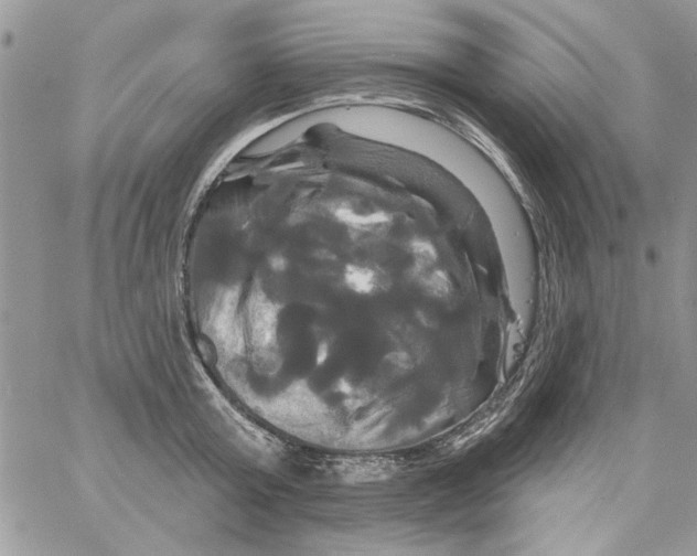 X0000061750803200512302236