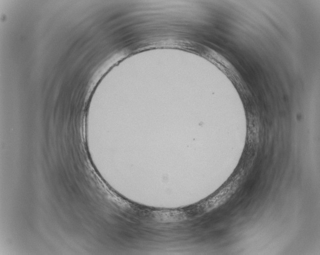 X0000061750804200512302236