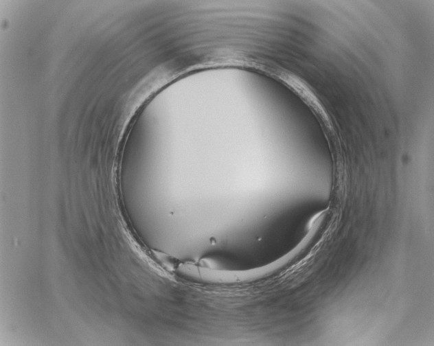 X0000061750805200512302236