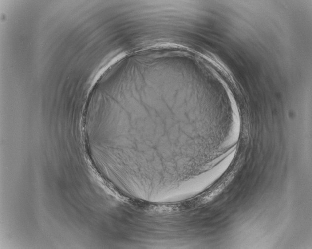 X0000061750806200512302236