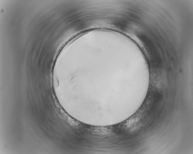 X0000061750807200512302236