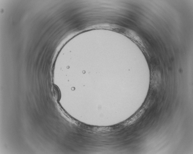 X0000061750808200512302236