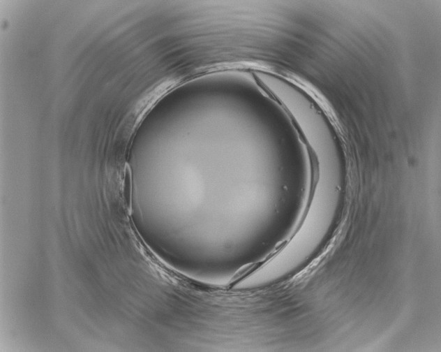 X0000061750809200512302236