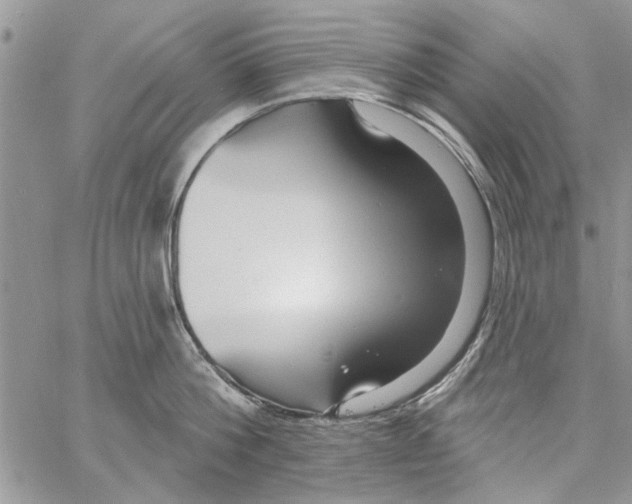 X0000061750812200512302236