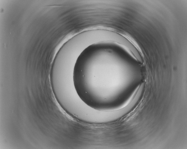 X0000061750813200512302236