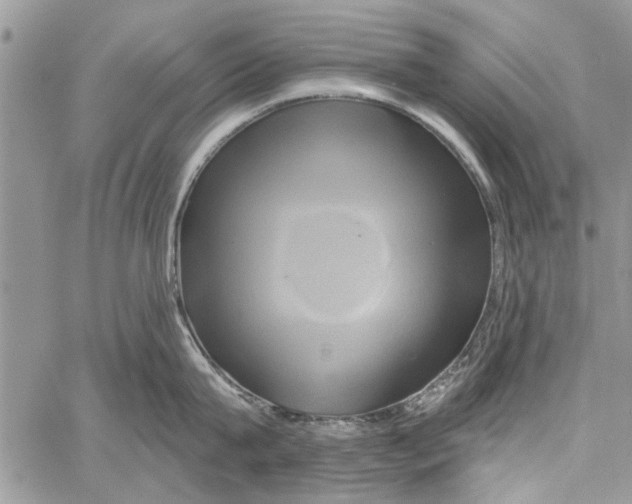 X0000061750815200512302236