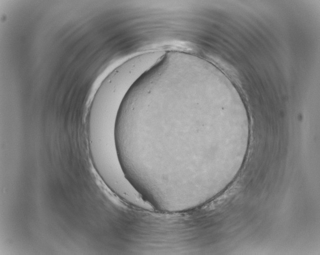 X0000061750816200512302236