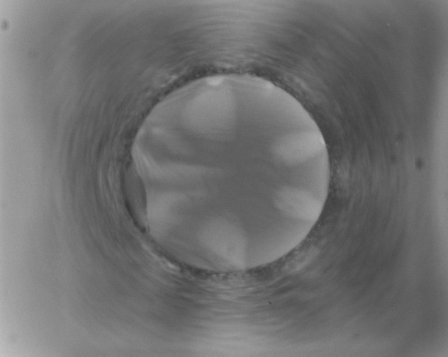 X0000061750817200512302235