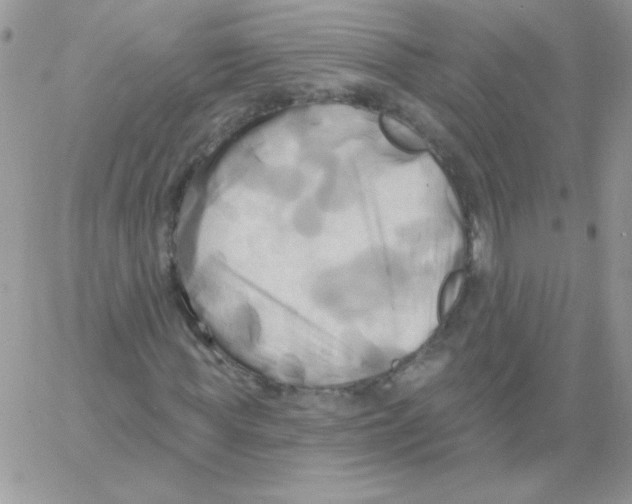 X0000061750819200512302235