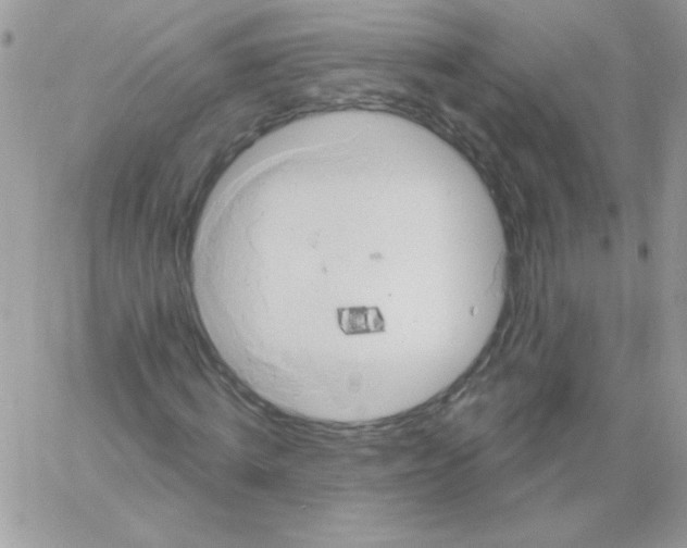 X0000061750820200512302235