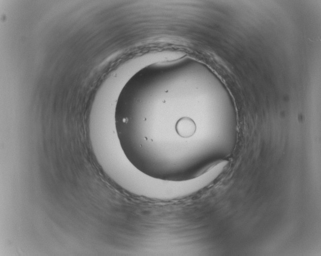 X0000061750821200512302235