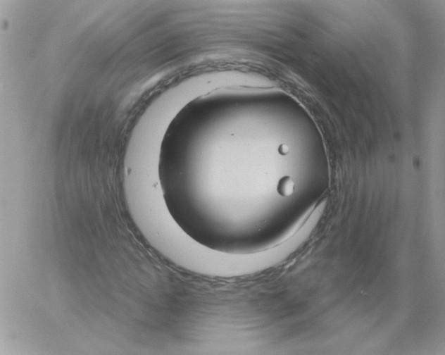 X0000061750822200512302235