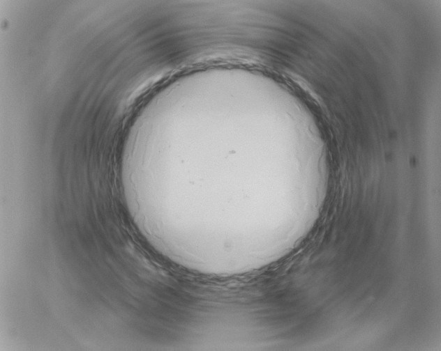 X0000061750824200512302235