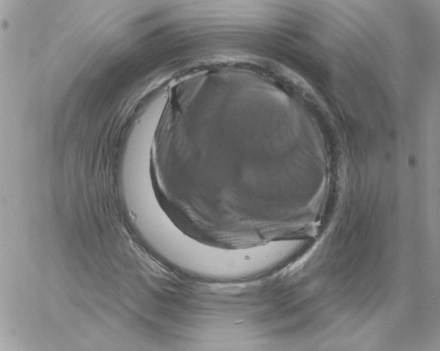 X0000061750825200512302235