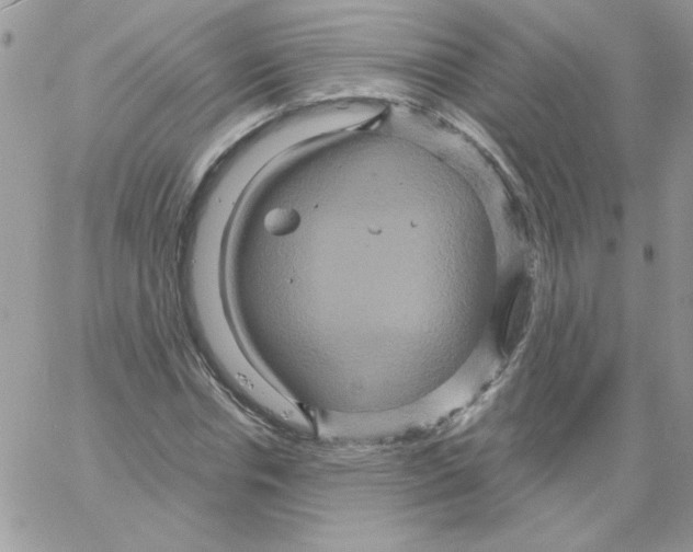 X0000061750826200512302235