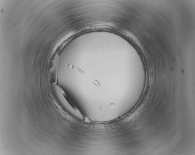 X0000061750827200512302235