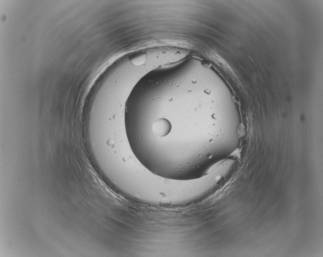 X0000061750828200512302235