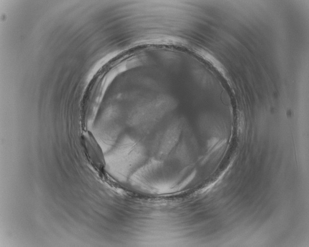 X0000061750829200512302235