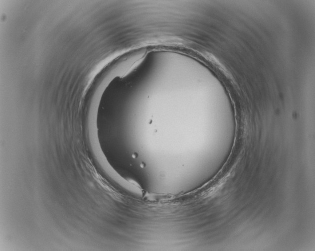 X0000061750830200512302235