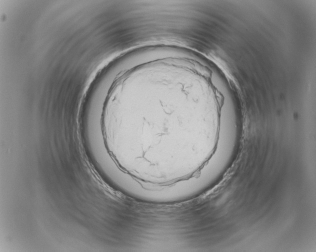 X0000061750832200512302235