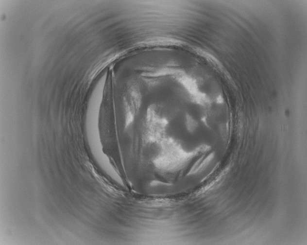 X0000061750833200512302235