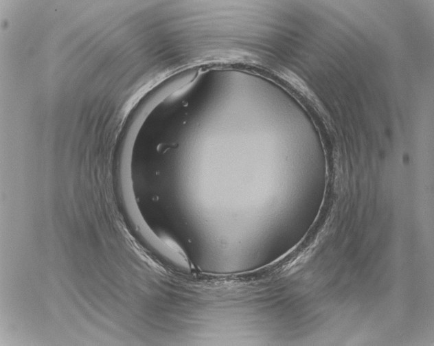 X0000061750834200512302235