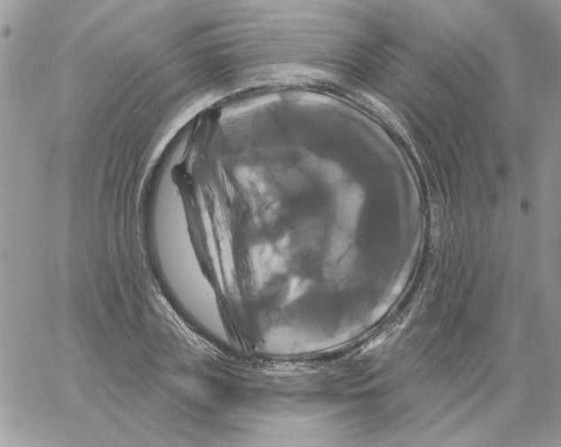 X0000061750835200512302235