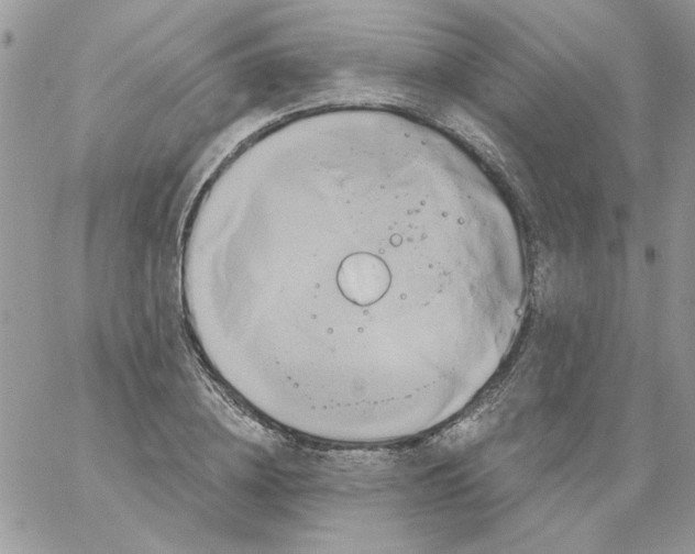 X0000061750836200512302235