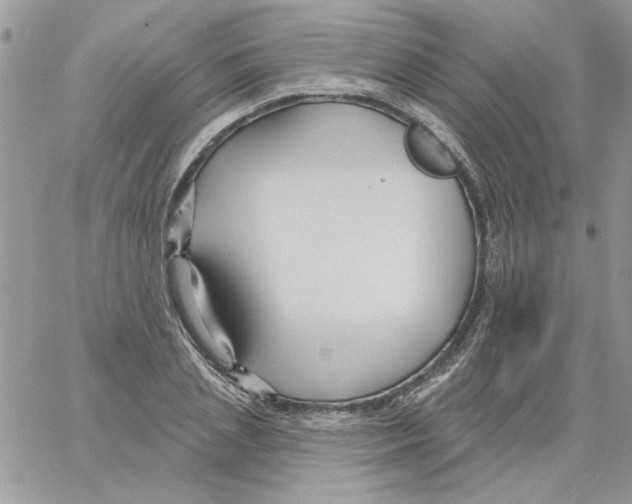 X0000061750837200512302235