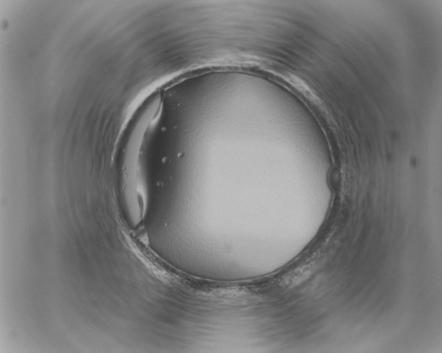 X0000061750838200512302235