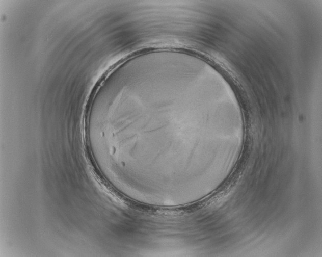 X0000061750840200512302235