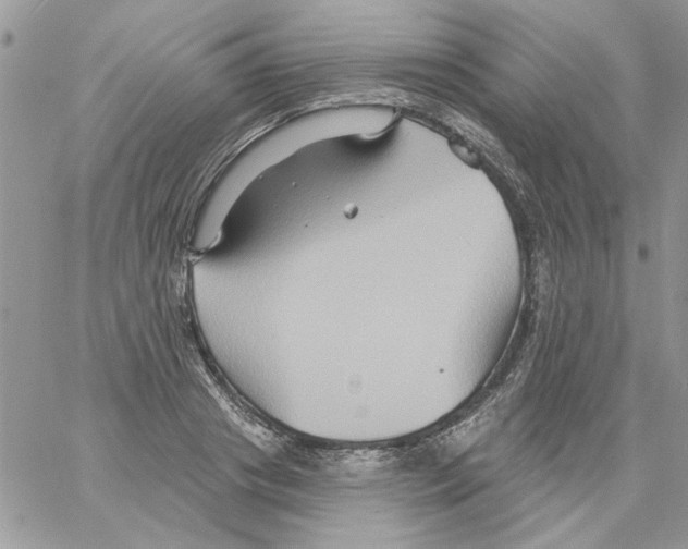 X0000061750841200512302235