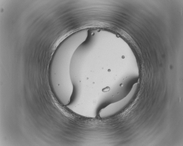 X0000061750842200512302235