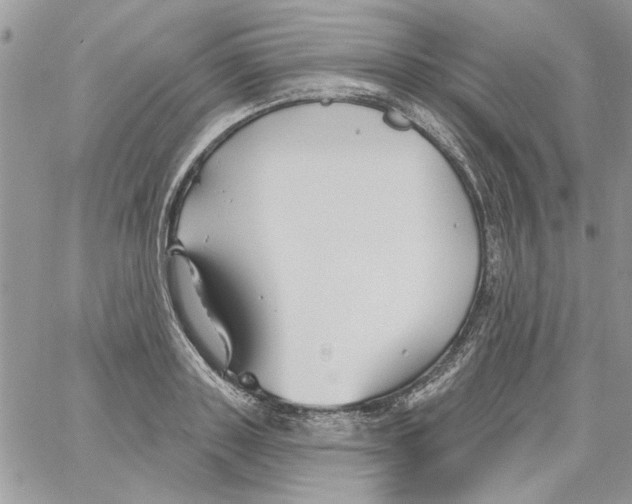 X0000061750843200512302235