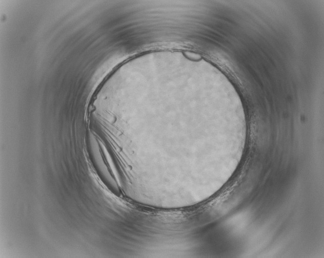 X0000061750844200512302235