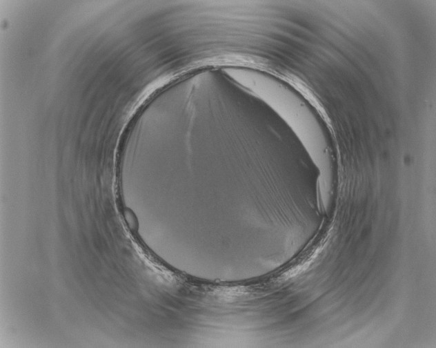 X0000061750845200512302235