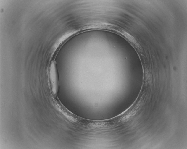 X0000061750846200512302235