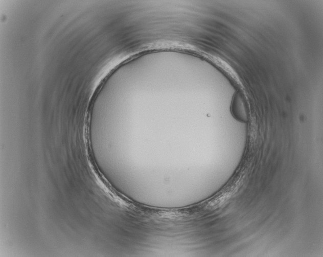 X0000061750847200512302235