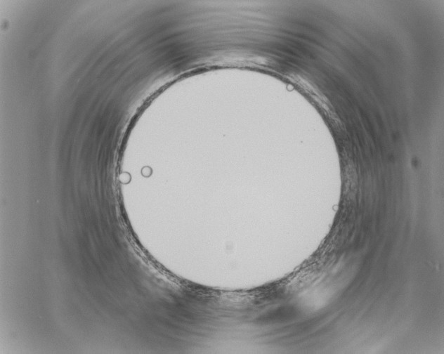 X0000061750848200512302235