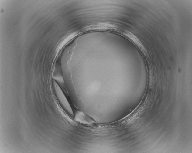 X0000061750850200512302236