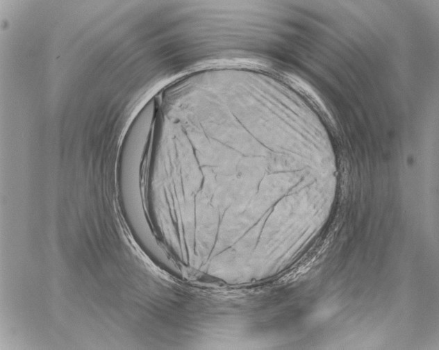 X0000061750852200512302236