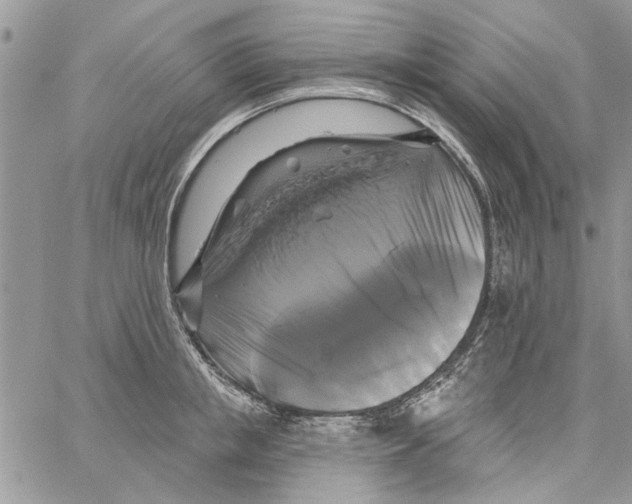 X0000061750853200512302236