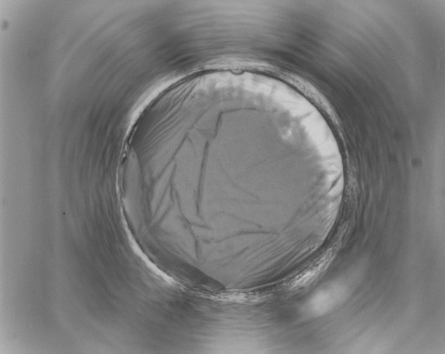 X0000061750855200512302236