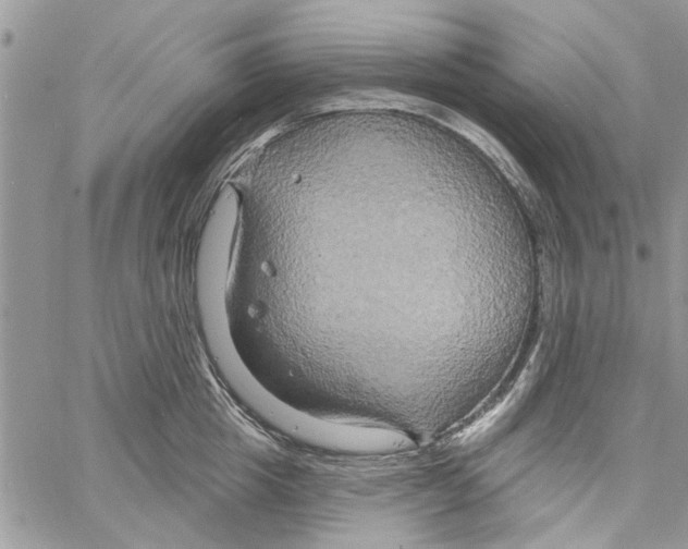 X0000061750857200512302236